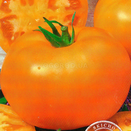 Семена томата «Апельсин», ТМ «Економікс» - 0,1 грамма