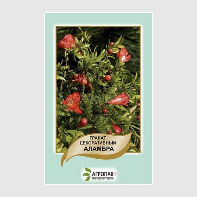 Кликните для увеличения изображения Семена граната декоративного «Аламбра» / Punica Granata Alhambra, ТМ «Агропак» - 0,2 грамма