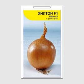 Семена лука «Хилтон» F1 / Hilton F1 (репчатый), ТМ Bejo Zaden - 1 грамм