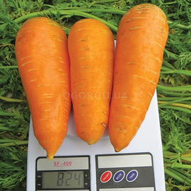 Семена моркови столовой «Болтекс» / Boltex, ТМ Clause Tezier - 3 грамма