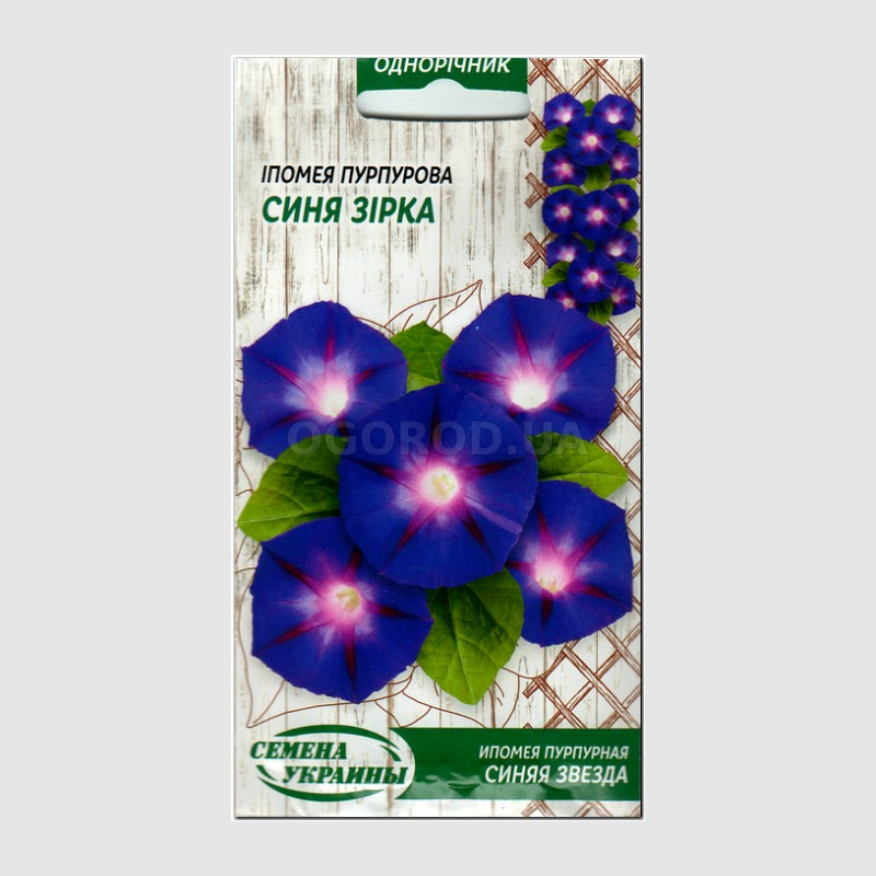 Кликните для увеличения изображения УЦЕНКА - Семена ипомеи «Синяя звезда», ТМ «СЕМЕНА УКРАИНЫ» - 1 грамм