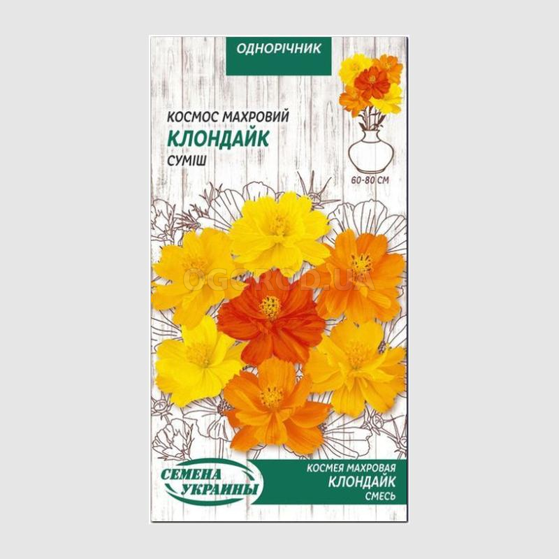 Кликните для увеличения изображения Семена космеи махровой «Клондайк», ТМ «СЕМЕНА УКРАИНЫ» - 0,5 грамм