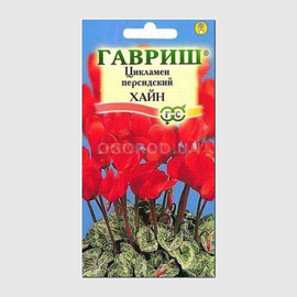 УЦЕНКА - Семена цикламена персидского «Хайн» / Cyclamen persicum, ТМ «ГАВРИШ» - 3 семечка