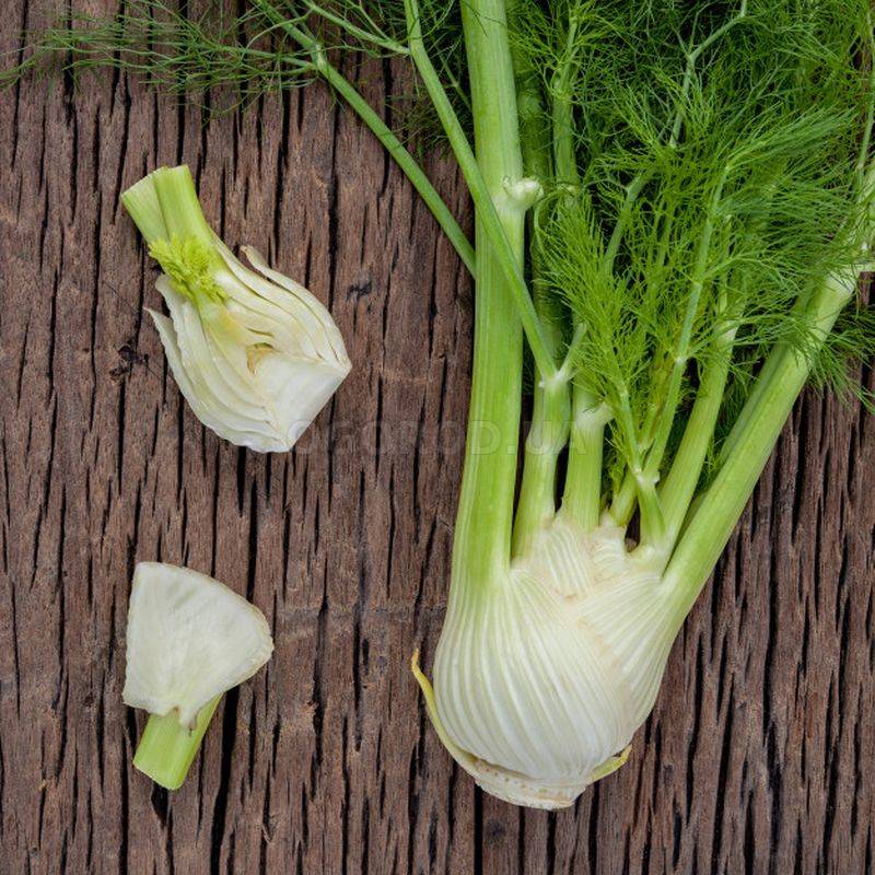 Лук латук. Лук порей камус. Лук порей сорта описание. Лук шалот порей батун. Лук порей сорта описание.