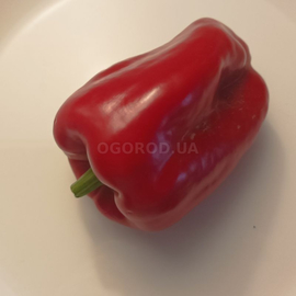 Семена перца сладкого «Красный куб», TM OGOROD - 200 семян