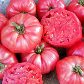 Семена томата «Буцефал» F1, TM OGOROD - 200 семян