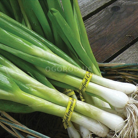 УЦЕНКА - Семена лука «Кайгаро» F1 / Kaygaro F1, ТМ Enza Zaden - 200 семян