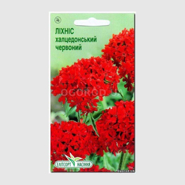 УЦЕНКА - Семена лихниса халцедонского красного, ТМ Елітсортнасіння - 0,2 грамма