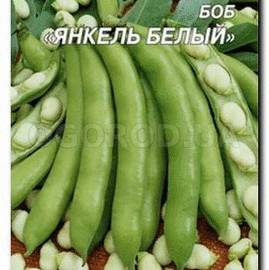 Семена бобов «Янкель белый», ТМ «СЕМЕНА УКРАИНЫ» - 20 грамм