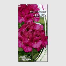 Семена пеларгонии фиолетовой «Ева», ТМ «СЕМЕНА УКРАИНЫ» - 5 семян