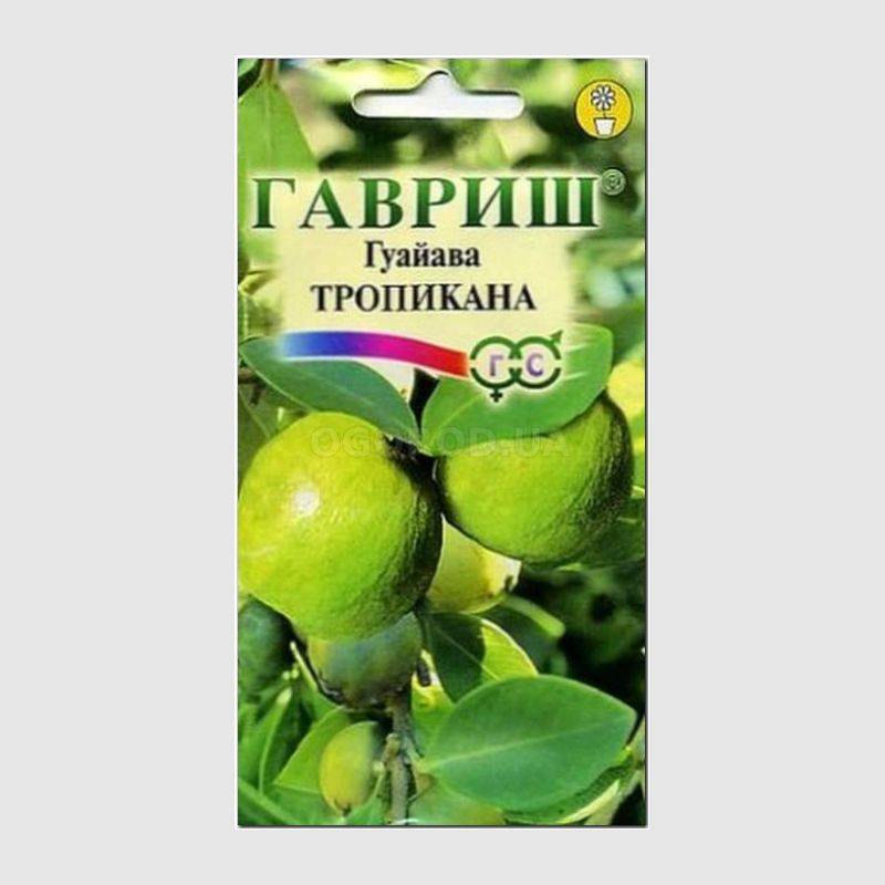 Кликните для увеличения изображения Семена гуайавы (Гуайява) «Тропикана» / Psidium guajava, ТМ «ГАВРИШ» - 0,2 грамма