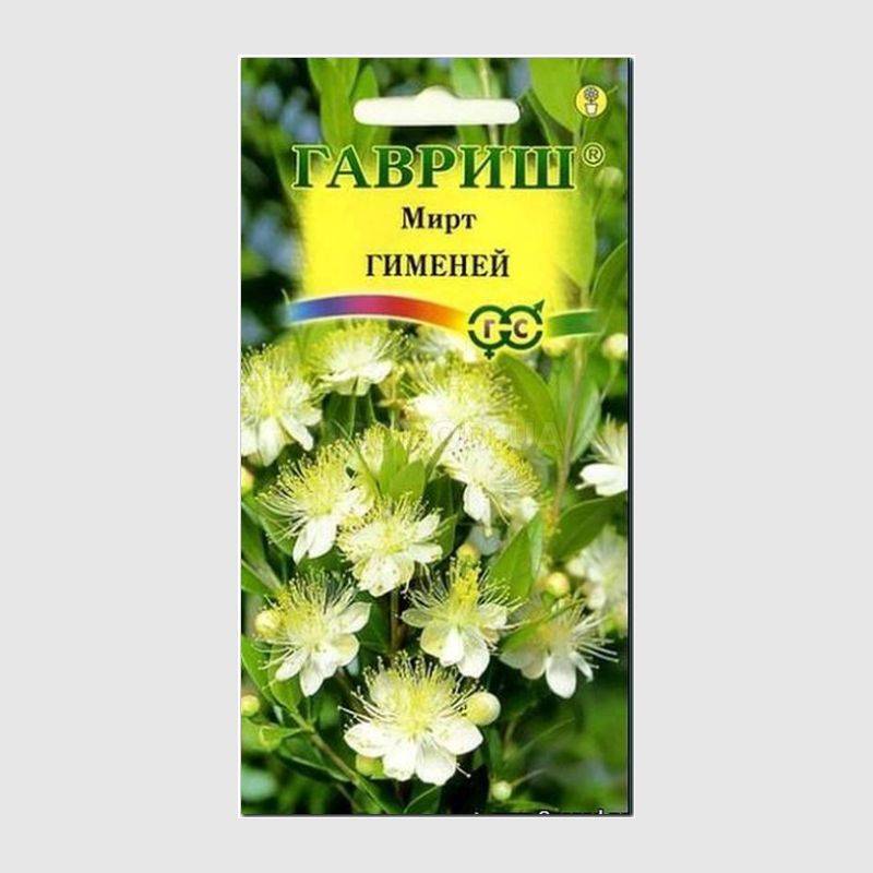 Кликните для увеличения изображения Семена мирта «Гименей» / Myrtus Hymen, ТМ «ГАВРИШ» - 5 семян