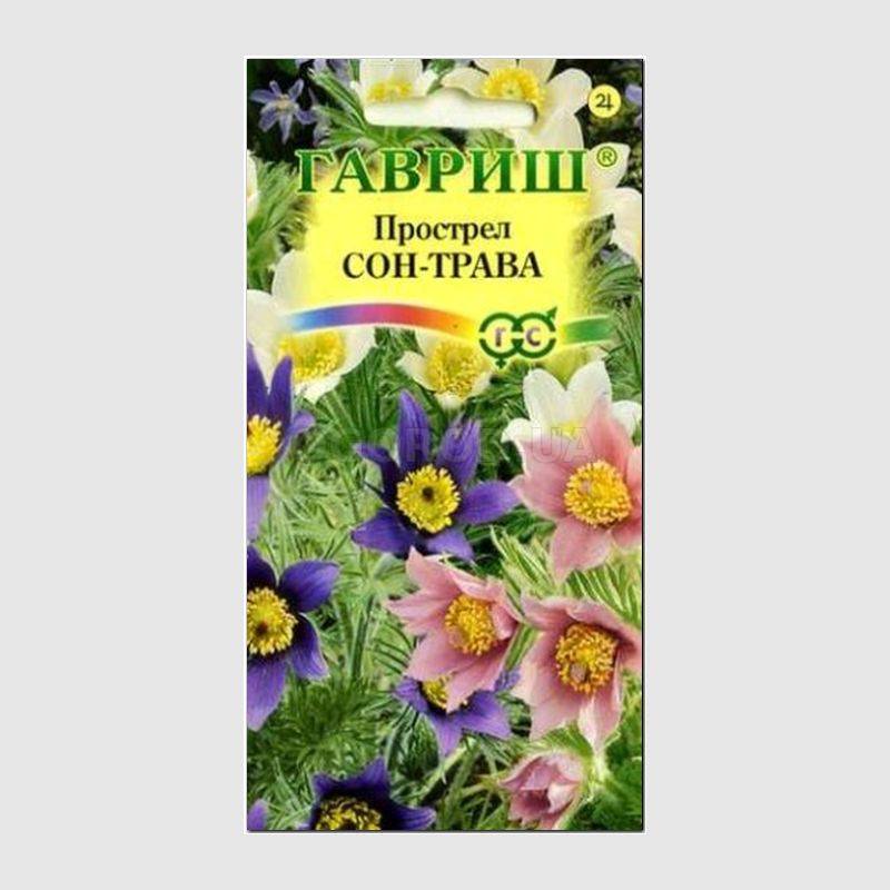Кликните для увеличения изображения Семена прострел сон-травы, подснежника / Pulsatílla, ТМ «ГАВРИШ» - 0,05 грамма