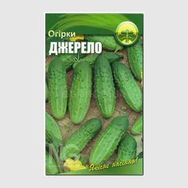 Семена огурца «Джерело», ТМ OGOROD - 100 семян (ОПТ - 10 пакетов)