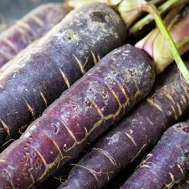 Семена моркови «Мармелад фиолетовый», ТМ «ГАВРИШ» - 150 семян