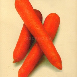 Семена моркови «Королева осени», ТМ «Економікс» - 2 грамма