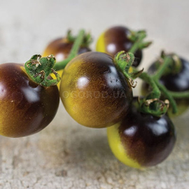 Фото Семена томата «Golden blue berries» (Золотисто-синие ягоды), серия «От автора» - 10 семян