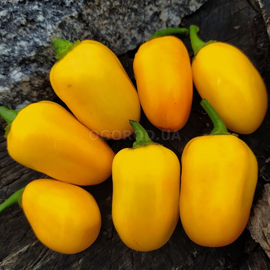 Фото Семена перца острого «Habanero Orange Apple» (Хабанеро Оранжевое Яблоко), серия «От автора» - 5 семян