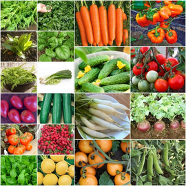 Набор семян «Северные овощи» - 20 пакетиков