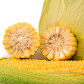 Семена кукурузы суперсладкой «Ayova» F1 (Айова F1), ТМ «МНАГОР» - 10 семян