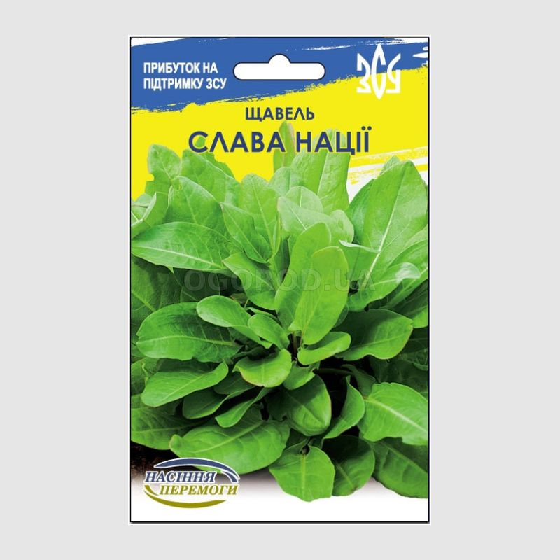 Сеем цветы под зиму