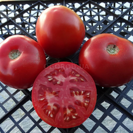 Фото Семена томата «Hirten Tomate» (Пастуший помидор), серия «От автора» - 10 семян