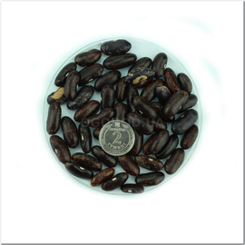 Семена фасоли «Чёрная пёстрая», TM OGOROD - 10 грамм