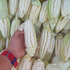 Семена гигантской кукурузы «Peruvian Cusco» (Перуанский Куско), TM OGOROD - 5 семян