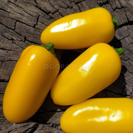 Семена перца острого «Jalapeno Lemon Spice Giant №1» (Халапеньо Лимонная Специя гигант №1), серия «От автора» - 5 семян