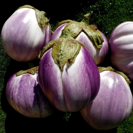 Семена баклажана «Rosa Bianca di Catania» (Роза Бьянка из Катании), серия «От автора» - 10 семян