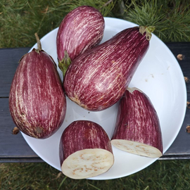 Кликните для увеличения изображения Семена баклажана «Полосатый рейс», TM OGOROD - 20 семян