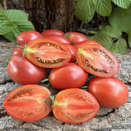 Семена томата «Бархатцы», серия «От автора» - 10 семян