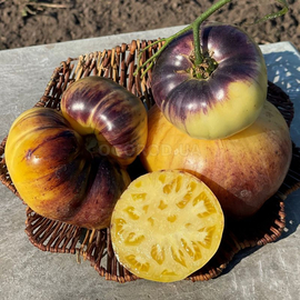 Семена томата «Sart Roloise» (Сарт Ролойз), серия «От автора» - 10 семян