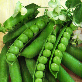 Семена гороха «Альфа», ТМ «СЕМЕНА УКРАИНЫ» - 20 грамм