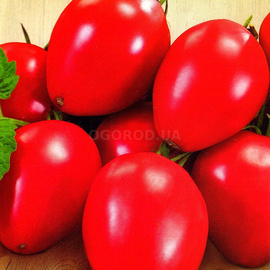 Семена томата «Феномен», ТМ «СЕМЕНА УКРАИНЫ» - 0,1 грамма