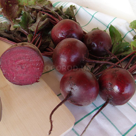 Семена свеклы «Бона» / Bona, ТМ Moravoseeds - 3 грамма