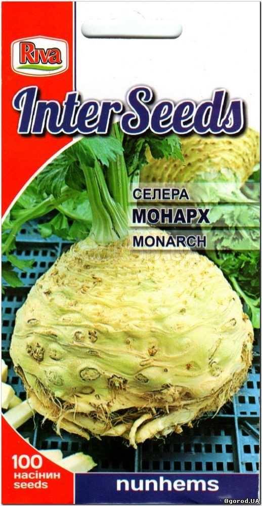 Кликните для увеличения изображения Семена сельдерея «МОНАРХ» / насіння селери Monarch, ТМ Nunhems - 100 семян