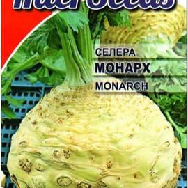 Семена сельдерея «МОНАРХ» / насіння селери Monarch, ТМ Nunhems - 100 семян