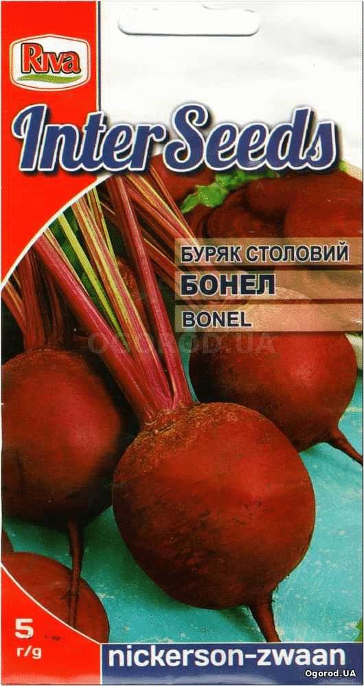 Кликните для увеличения изображения Семена свеклы «БОНЕЛ», ТМ Nickerson Zwaan - 5 грамм