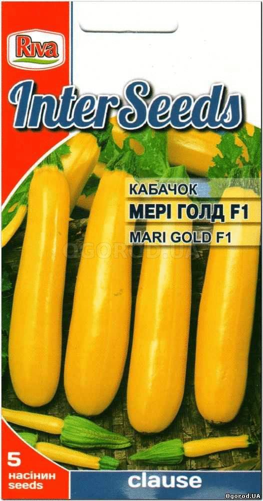 Кликните для увеличения изображения Семена кабачка «МЕРИ ГОЛД» F1, ТМ Clause Tezier - 5 семян