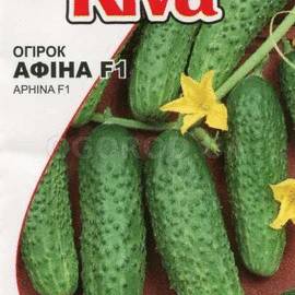 Семена огурца «АФИНА» F1 / насіння огірка APHINA F1, ТМ «Nunhems» - 10 семян