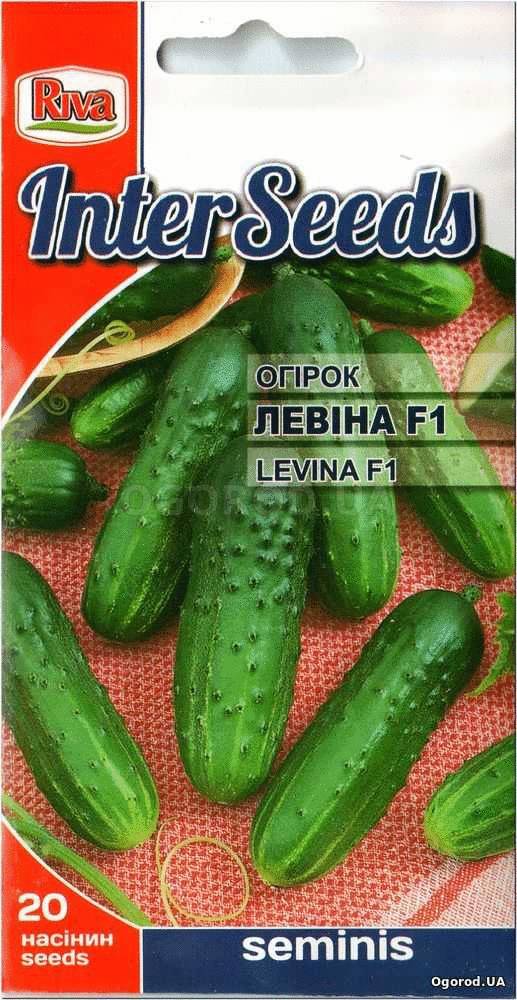 Кликните для увеличения изображения Семена огурца «ЛЕВИНА» F1 / LEVINA F1, ТМ «Seminis» - 20 семян