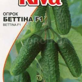 Семена огурца «БЕТТИНА» F1 / насіння огірка BETTINA, ТМ «Nunhems» - 10 семян