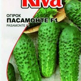 Семена огурца «ПАСАМОНТЕ» F1 / насіння огірка «ПАСАМОНТЕ» F1 / cucumber «PASAMONTE» F1, ТМ «Syngenta» - 10 семян