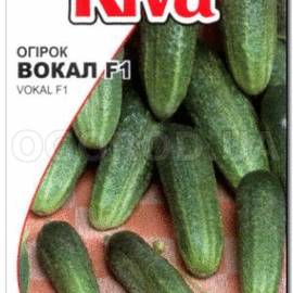 Семена огурца «ВОКАЛ» F1 / насіння огірка «ВОКАЛ» F1 / cucumber «VOKAL» F1, ТМ Rijk Zwaan - 10 семян