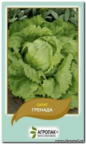 Кликните для увеличения изображения Семена салата «Гренада», ТМ «Агропак» - 0,5 грамма
