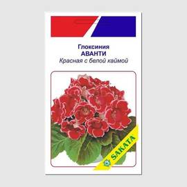 Семена глоксинии «Аванти», красная с белой каймой, ТМ SAKATA - 10 драже