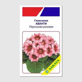 Семена глоксинии «Аванти», персиково-розовой, ТМ SAKATA - 10 драже