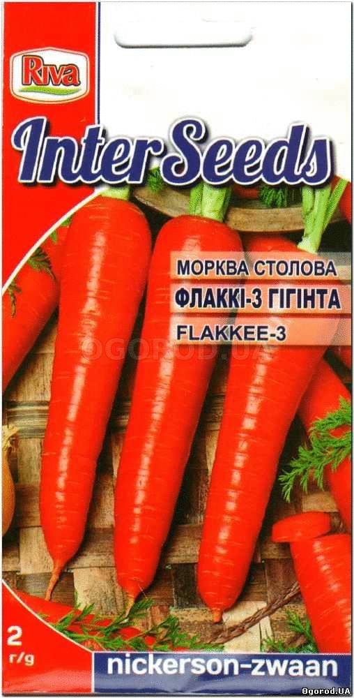 Кликните для увеличения изображения Семена моркови столовой «ФЛАККИ-3» ГИГАНТА / seeds carrot «FLAKKEE-3», ТМ Nickerson Zwaan - 2 грамма