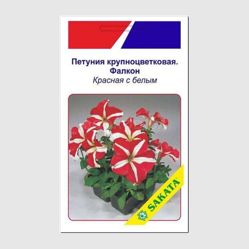 Кликните для увеличения изображения Семена петунии крупноцветковой «Фалкон», красная с белым / Petunia grandiflora «Falcon» F1, ТМ SAKATA - 20 драже